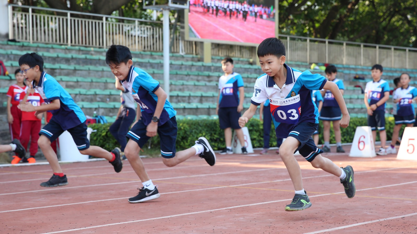 广东碧桂园学校